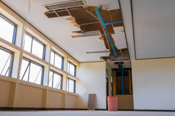 Best Fire Damage Restoration  in Providence, RI