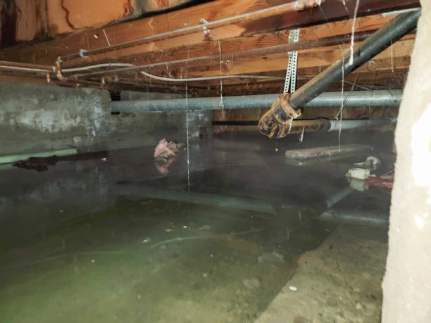 Carpet water damage restoration in RI