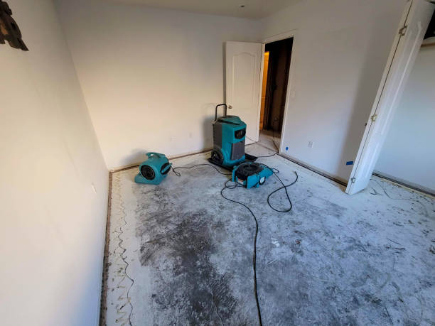 Professional Water damage restoration in RI