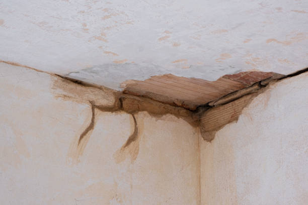 Best Commercial water damage restoration  in Providence, RI
