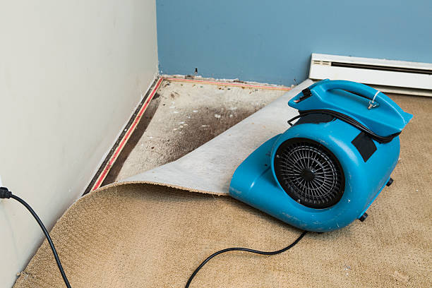 Best Flooded house restoration  in Providence, RI